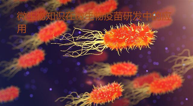 微生物知識(shí)在微生物疫苗研發(fā)中的應(yīng)用